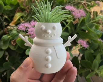 Christmas Snowman Air Plant Holder | Succulent | Home Decor | Seasonal Gift | 3D Printed with Drainage | Indoor Planter | Fall Decorations