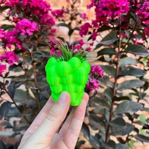 May include: A bright green, bulbous planter with a small air plant growing inside. The planter is being held in a person's hand.