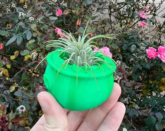 3D Printed St Patrick's Day Pot of Gold Succulent Planter