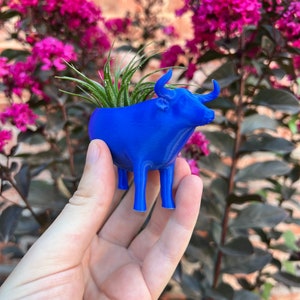 May include: A blue bull planter with a small air plant growing inside. The planter is made of 3D printed plastic and has a realistic bull design.