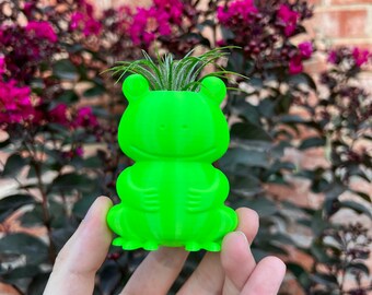 Adorable 3D Printed Frog Succulent Planter with Drainage - Modern Indoor Air Plant Holder