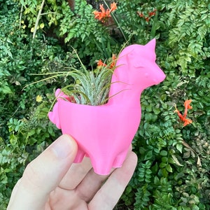 May include: A pink llama-shaped planter with a small air plant growing inside. The planter is being held in a person's hand.