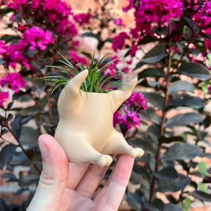 May include: A beige ceramic planter shaped like a turkey with outstretched wings, holding a small air plant. The planter is being held in a hand against a background of pink flowers.