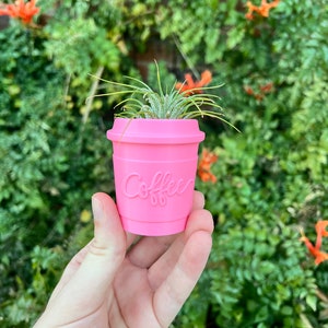 May include: A pink ceramic coffee cup planter with the word "Coffee" embossed on the side. A small air plant is growing inside the cup.