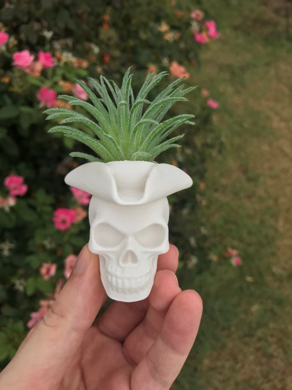 3D Printed PLA Skull Pirate Air Plant Holder - Modern Planter