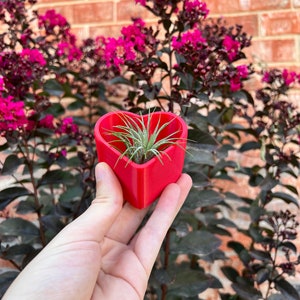 3D Printed Heart Succulent Planter: Modern Indoor Pot with Drainage for Cacti & Air Plants
