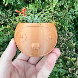 May include: A brown ceramic sloth planter with a small air plant growing inside. The planter has a smiling face with two eyes and a nose.