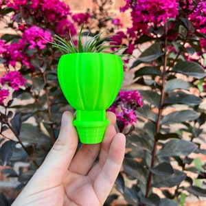 May include: A bright green,  ceramic planter shaped like a hot air balloon with a small air plant growing inside.