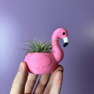 May include: A pink flamingo-shaped planter holding a small air plant. The flamingo has a black eye and a black and white beak. The planter is held against a purple background.