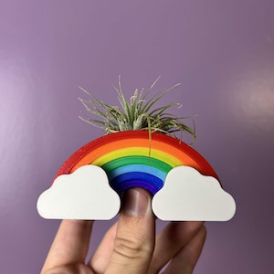 May include: A 3D-printed rainbow-shaped planter featuring concentric bands of red, orange, yellow, green, and blue. Two white clouds are attached to the base of the rainbow. A small, spiky green air plant sits inside the top of the rainbow arch.