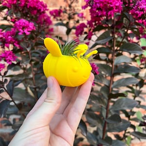 May include: A yellow bee-shaped planter with a small air plant growing inside. The planter is being held in a hand against a background of purple flowers.