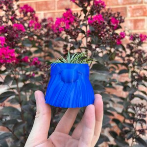 May include: A blue 3D printed planter shaped like a face with a beard. The planter is holding a small air plant.