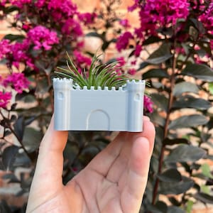 May include: A small gray castle-shaped planter with a green air plant growing inside. The planter is being held in a person's hand.