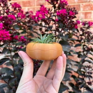 Modern 3D Printed Donut Succulent Planter with Drainage - Indoor Home Decor Gift for Plant Lovers