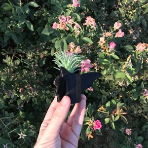 Peut inclure: Un pot de fleurs en forme de chauve-souris noir avec une petite plante succulente verte qui pousse &agrave; l'int&eacute;rieur. Le pot est tenu dans la main d'une personne.