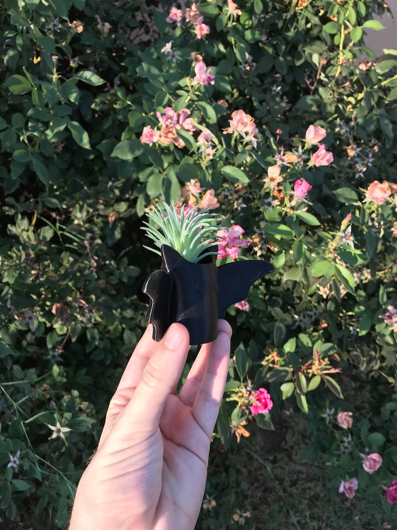 Peut inclure: Un pot de fleurs en forme de chauve-souris noir avec une petite plante succulente verte qui pousse &agrave; l'int&eacute;rieur. Le pot est tenu dans la main d'une personne.
