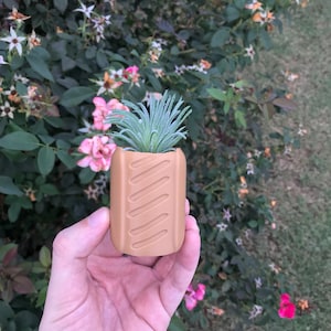 May include: A small succulent plant in a brown ceramic planter shaped like a loaf of bread. The planter has a textured surface with lines.