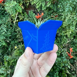 May include: A blue cardboard takeout container with the words "Thank You" and "Enjoy" printed on it. The container is holding a small plant.