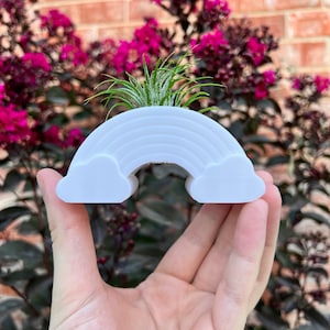 May include: A white rainbow-shaped planter with clouds on either side, holding a small air plant. The planter is being held in a hand.