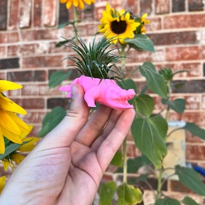May include: A pink alligator planter with a small green succulent plant growing inside. The planter is being held in a person's hand.