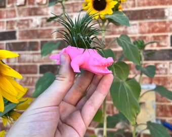 Alligator Succulent Planter | Home Decor | Modern Planter | 3D Printed with Drainage | Indoor Planter