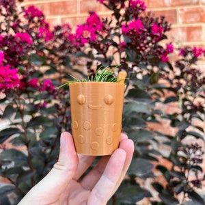 May include: A small brown planter with a smiley face and polka dots, holding a small green plant. The planter is being held in a person's hand.
