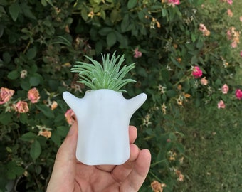 Ghost Succulent Planter | Home Decor | Modern Planter | 3D Printed with Drainage | Indoor Planter