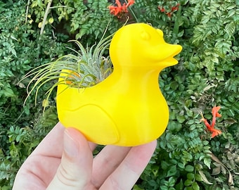 3D Printed Duck Planter: PLA Plastic Succulent Air Plant Holder