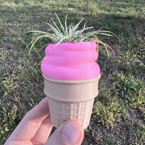 May include: A pink and brown ice cream cone planter with a green air plant growing inside.