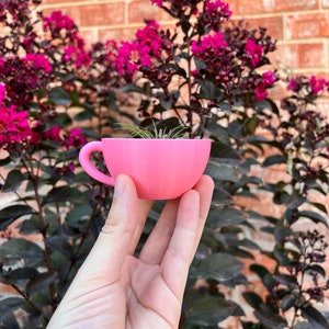 May include: A pink ceramic teacup planter with a small air plant growing inside. The planter is being held in a hand against a backdrop of pink flowers and green leaves.
