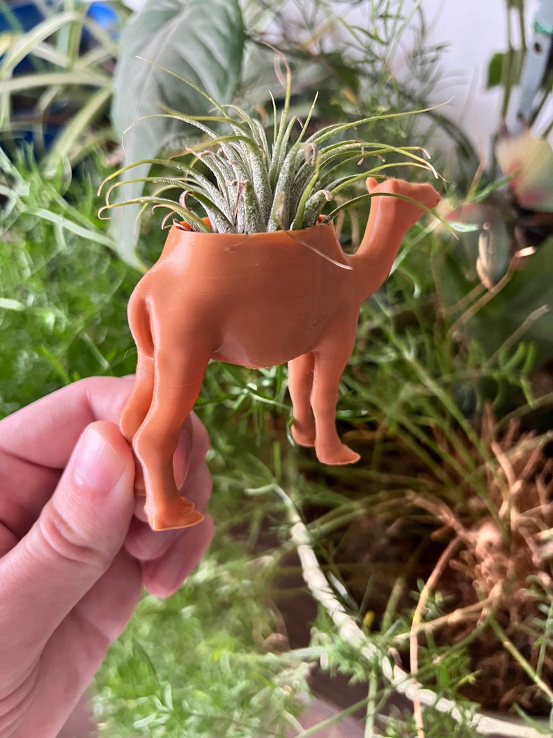 May include: A brown camel-shaped planter with a green air plant growing inside. The planter is being held in a hand.