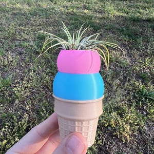 May include: A pink, blue, and brown ice cream cone planter with a green air plant growing inside.