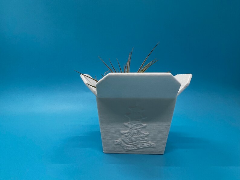 Chinese Takeout Box Succulent Planter Home Decor Modern Etsy