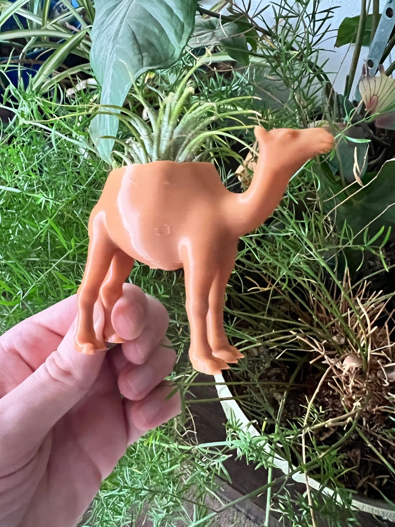 May include: A terracotta-colored camel planter with a small air plant growing inside. The camel is standing on a green surface.