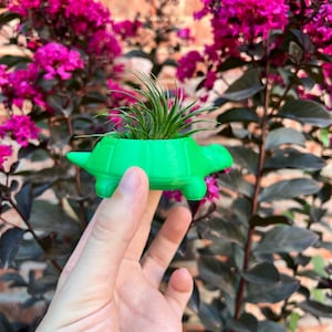 3D Printed Turtle Succulent Planter: Modern Indoor Home Decor with Drainage for Cactus & Air Plants