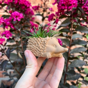 3D Printed Hedgehog Succulent Planter with Drainage - Modern Indoor Air Plant Holder Home Decor Gift