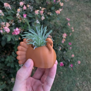 May include: A brown turkey-shaped planter holding a small, green plant with spiky leaves. The planter is held in front of a blurred background of green grass and pink and yellow flowers.