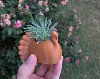 Thanksgiving Turkey Succulent Planter | Office Decor | Home Decor | Modern Planter | 3D Printed with Drainage | Indoor Planter