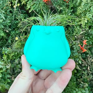 May include: A turquoise penguin-shaped planter with a small air plant growing inside. The planter is being held in a hand.