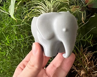 3D Printed Elephant Succulent Planter with Drainage - Modern Home Decor for Indoor Air Plants