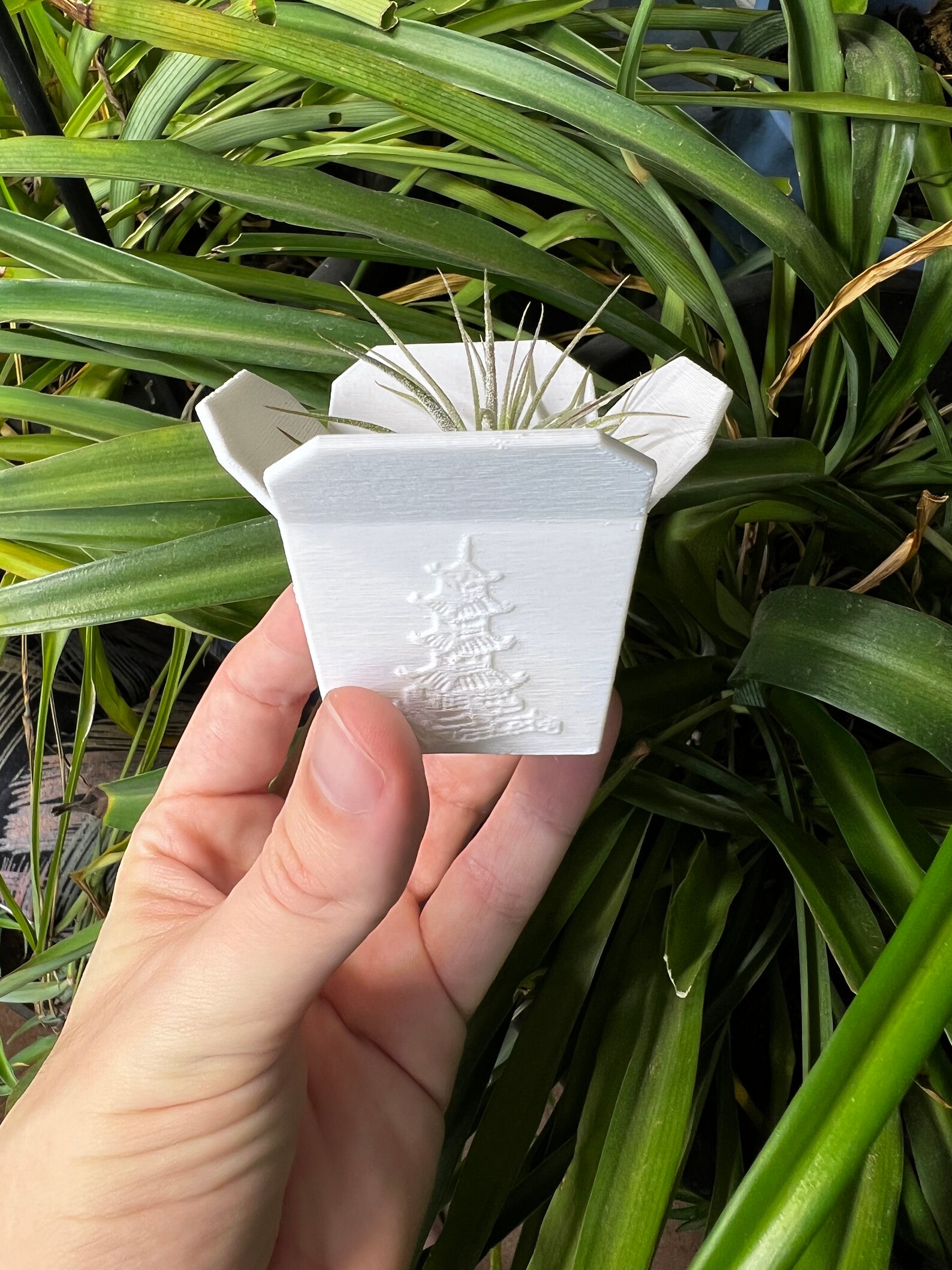 Chinese Takeout Box Succulent Planter Home Decor Modern Etsy