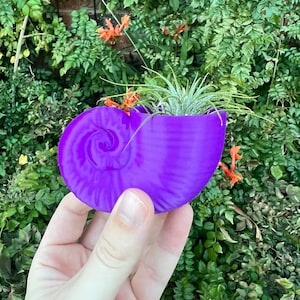 May include: A purple seashell-shaped planter with a small air plant growing inside. The planter is being held in a person's hand.