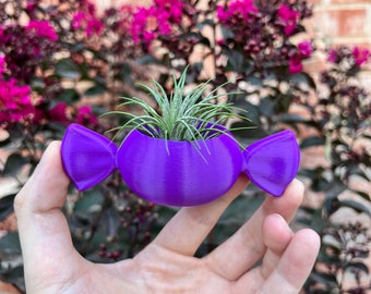 Colorful 3D Printed Succulent Planter: Modern Indoor Candy-Inspired Home Decor with Drainage