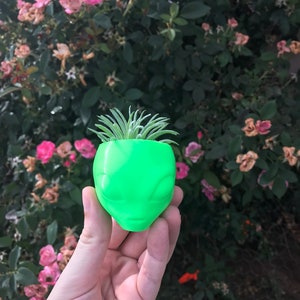 May include: A bright green alien head planter with a small succulent plant growing inside.
