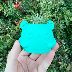 3D Printed Panda Succulent Planter – Modern PLA Air Plant Holder