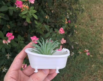 May include: A white miniature bathtub planter with a small green succulent plant inside. The bathtub has a faucet and feet.