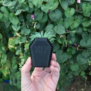 May include: A black plastic planter shaped like a coffin with the word "RIP" on the front. A small green succulent plant is growing inside the planter.