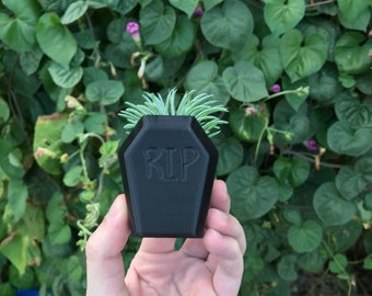 3D Printed Coffin Planter – Halloween Home Decor, Succulent Holder