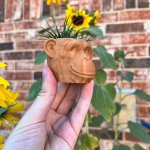 3D Printed Monkey Succulent Planter - Modern Indoor Plant Holder with Drainage for Home Decor