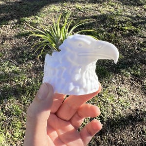 May include: White ceramic planter shaped like an eagle's head with a small air plant growing inside.